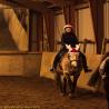 images/generelt/generelt_03.jpg